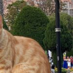 Explore Fatih – The Heart of Historic Istanbul