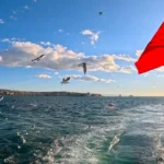 A Step-by-Step Roadmap to Moving, Living, Working, and Settling in Istanbul